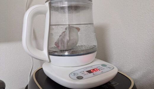 電気ケトルに冷凍マウスを入れる