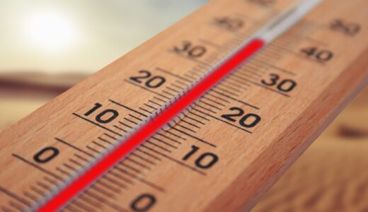 ボールパイソン飼育の温度管理方法と適温【温度勾配を作ろう】